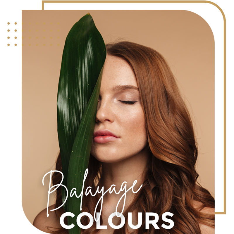 clipin - Balayage - Color